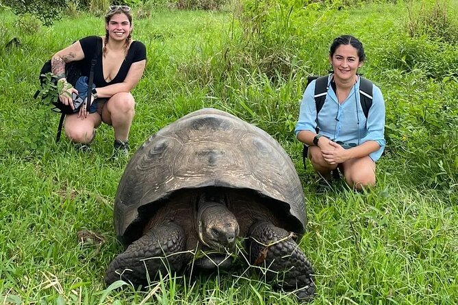 Giant Turtle Watching and Lava Tunnels Tour - Tour Schedule and Availability