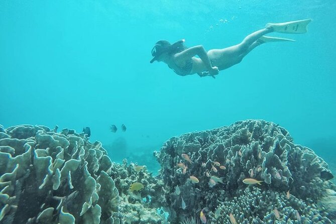 Gili Trawangan,Gili Meno& Gili Air Island:Snorkeling Day Trip Depart From Lombok - Itinerary Details