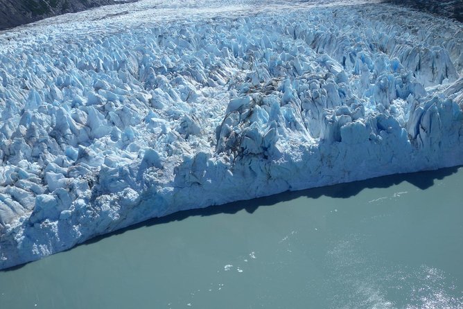 Glacier & Wildlife Discovery Tour - Wildlife Encounters