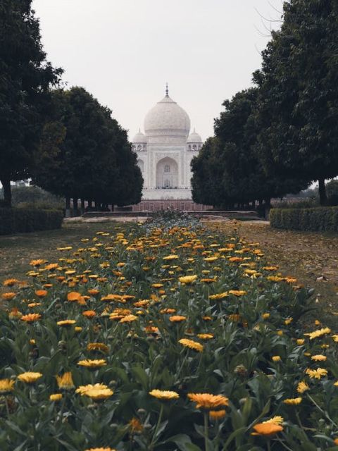 Golden Triangle Tour With Bharatpur - Day 2: Journey to Agra