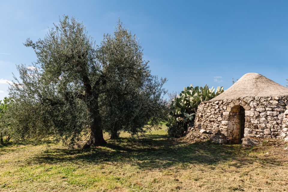 Golf Cart Tour and Aperitif in the Ancient Masseria - Experience and Highlights