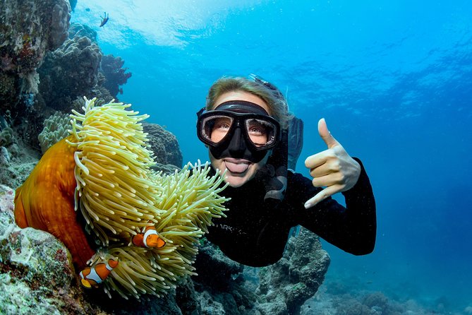 Great Barrier Reef Diving and Snorkeling Cruise From Cairns - Whats Included