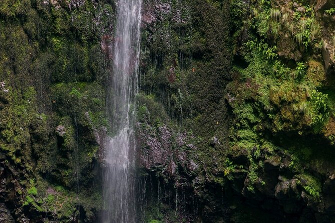 Green Cauldron Levadas Walk in Madeira - Positive Feedback