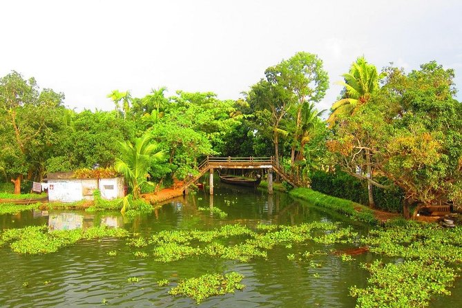 Group Shore Excursion From Cochin Port - Meeting and Pickup Details