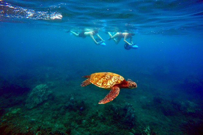 Guided Sea Scooter Snorkeling Tour Wailea Beach - Experience Details