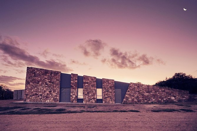 Guided Tour of the Winery Viña Edén - Unique Tour Features