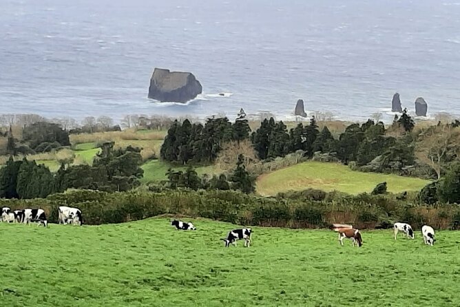 Guided Visit to the Crater and Volcano of Lagoa Das Sete Cidades - Highlights of the Experience