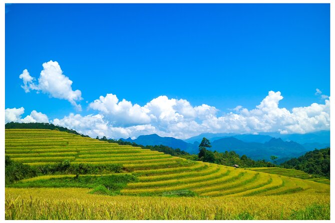 Ha Giang Loop 2d/1n Private Room + Free Stay Hotel 1N Before Tour - Accommodation Details