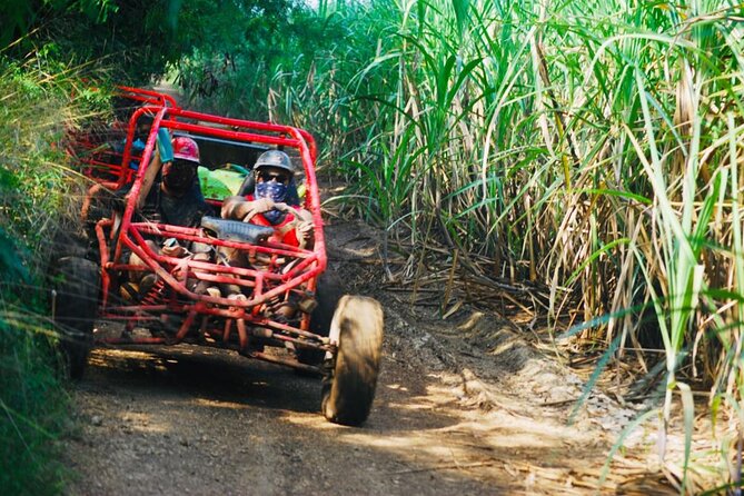 Half-Day ATV or Buggy 4X4 From Bayahibe - La Romana - Itinerary Highlights