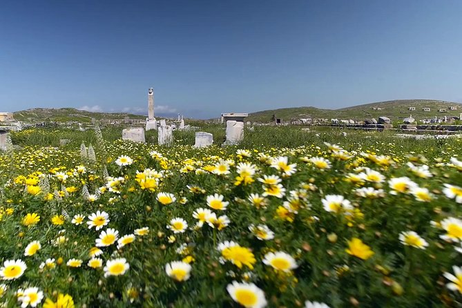 Half-Day Delos Tour From Mykonos - Meeting Point and Pickup