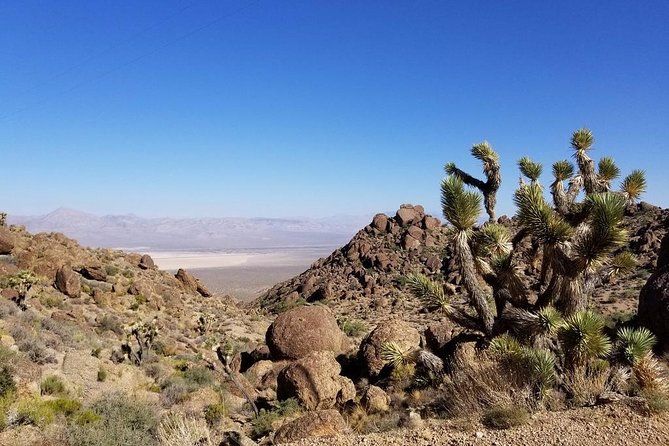 Half-Day Electric Bike Tour of Red Rock Canyon - Meeting and Pickup