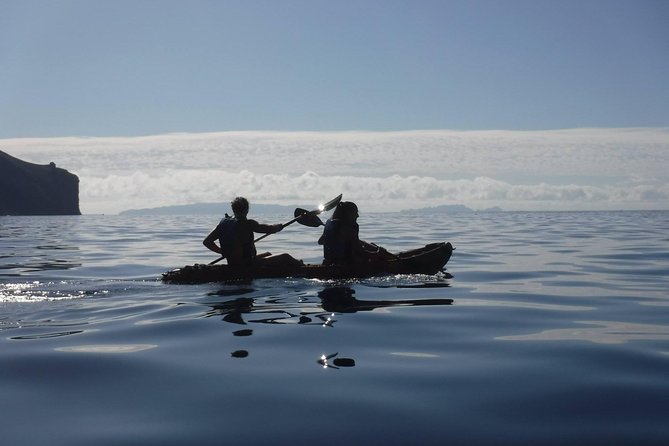 Half Day Kayak Tours - Pricing and Booking Details