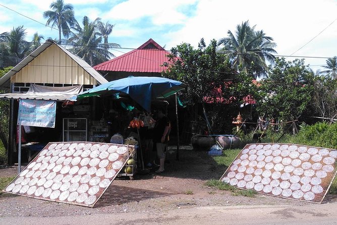 Half Day Morning Bicycle Tour to Explore Local Livelihood and Test Local Snacks - Itinerary Highlights