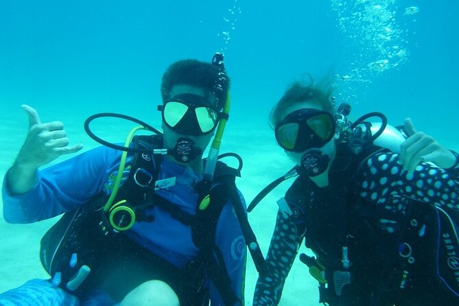 Half Day Scuba Diving Trip in the Florida Keys - Trip Highlights and Ratings