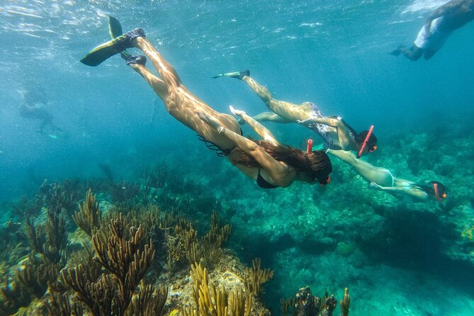 Half Day Snorkel From Providenciales With Visit to Half Moon Bay - Meeting Location Details