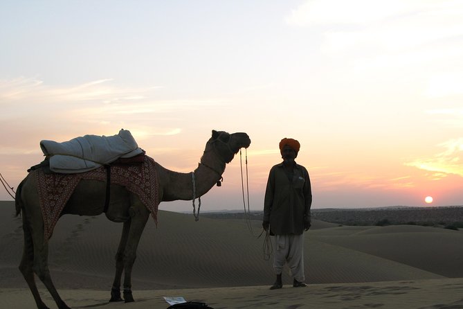 Half Day Sunset Camel & Cultural Adventure - Meeting and Pickup Details