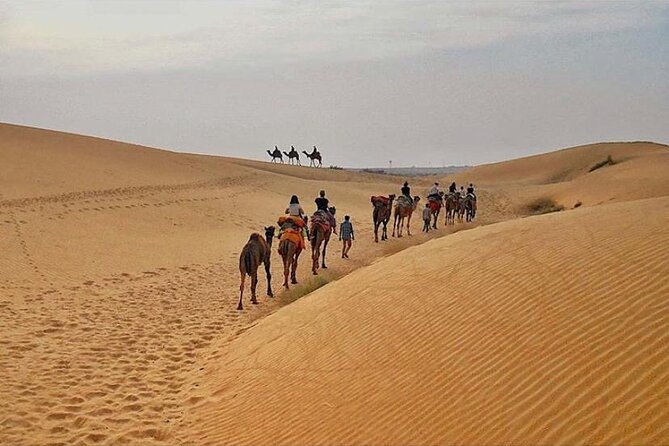 Half Day Sunset Camel Safari Jaisalmer - Whats Included in the Tour