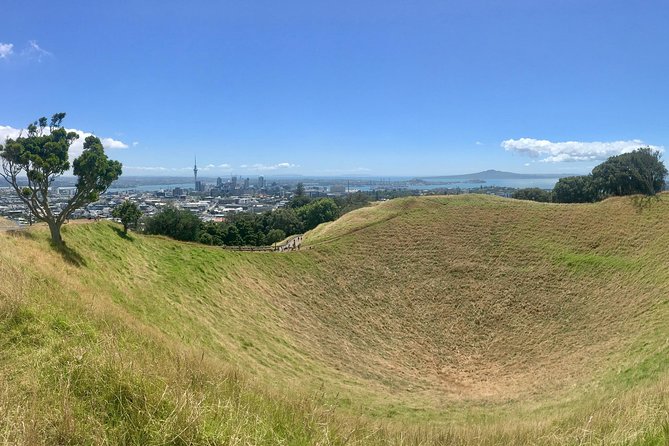 Half-Day Volcano Tour From Auckland - Itinerary and Highlights