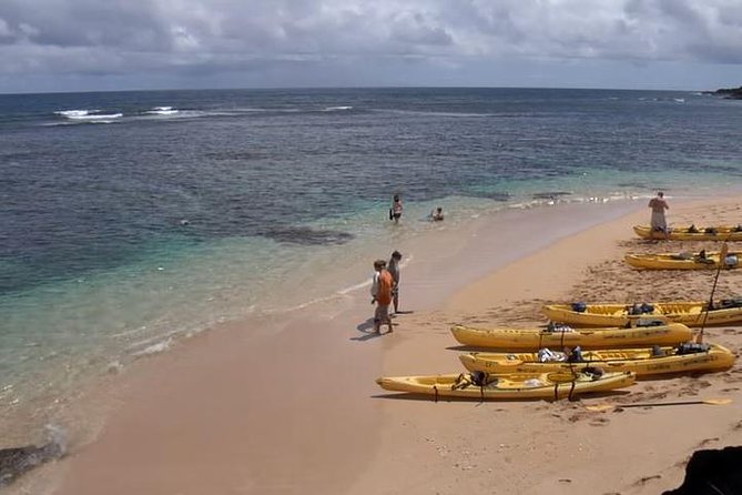 Hanalei River Paddle and Bay Snorkel Tours (LUNCH INCLUDED) - Whats Included