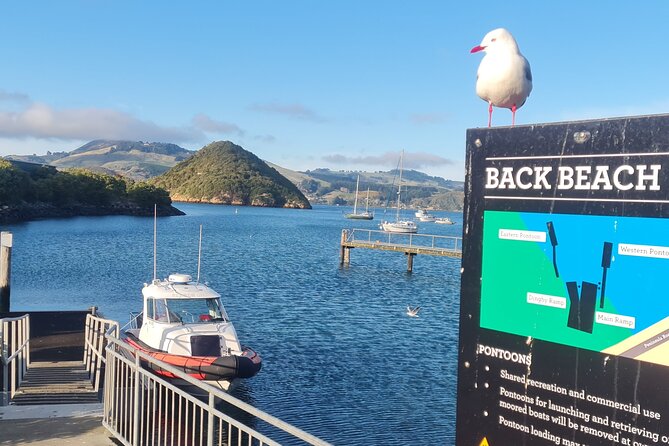 Harbour, Albatross and Wildlife Cruise on Otago Harbour - Amenities and Guest Requirements