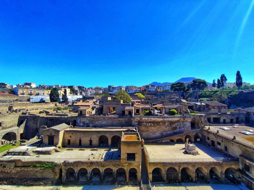 Herculaneum With an Archaelogical Guide & Ticket - Pricing and Cancellation Policy