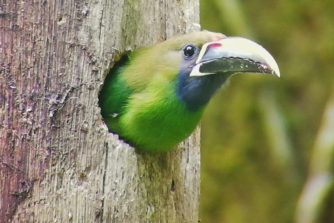 Hiking to Curi-Cancha Reserve - Tour Highlights