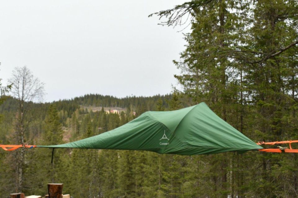 Hønefoss: 2-Day Moose Safari in Oslo's Wilderness - Experience Highlights