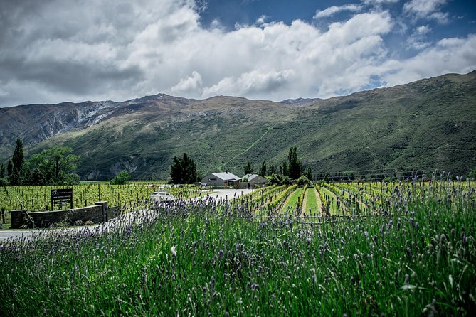 Hop on Hop off Wine Tours Queenstown - Tour Inclusions and Logistics