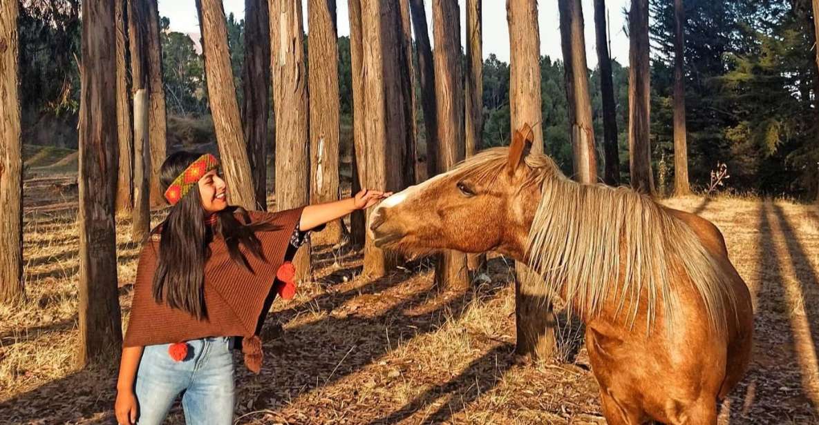 Horse Ride Through Sacsayhuaman, Qenqo and Eucalyptus Forest - Highlights of the Tour