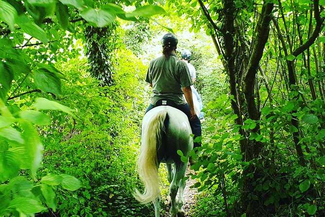 Horseback Riding In Bled - Customer Experiences and Reviews