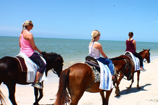 Horseback Riding, Shopping and Lunch - Tour Highlights