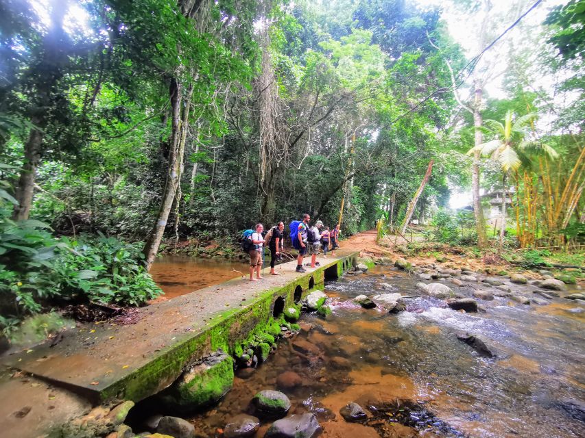 Ilha Grande: Private Hiking With Forest, Beaches & Waterfall - Experienced Tour Guides