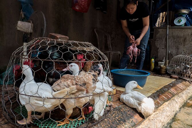 Into the Thieves Market Hanoi Photo Tour - Pricing Details