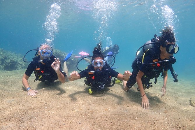 Introductory Dive for Non-Certified Divers - Package Inclusions and Benefits