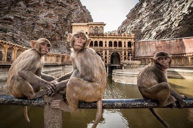 Jaipur Tour by Car & Guide - Private Full Day Sightseeing With Tickets - Inclusions and Amenities