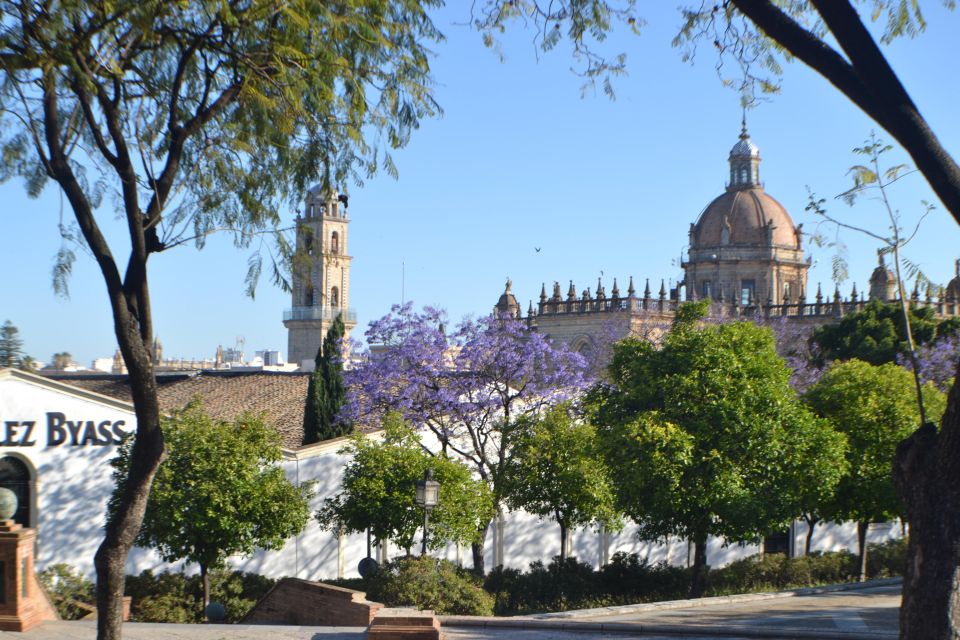 Jerez Private City Walking Tour - Tour Highlights