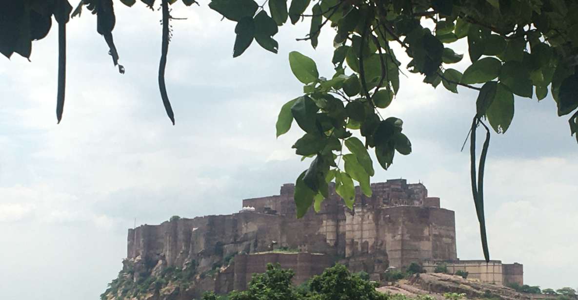 Jodhpur Blue City Walking Tour With Guide - Experience and Itinerary