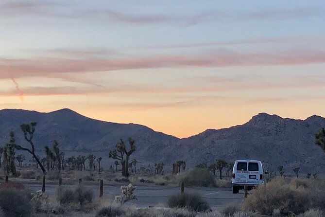 Joshua Tree National Park Driving Tour - Meeting and Pickup Details