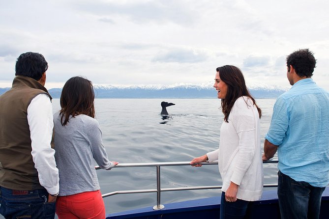 Kaikoura Whale Watch Day Tour From Christchurch - Tour Highlights