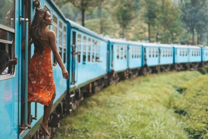 Kandy To Nuwaraeliya Scenic Train Ride and Nuwaraeliya City Tour And Drop Ella - Private Tour Benefits