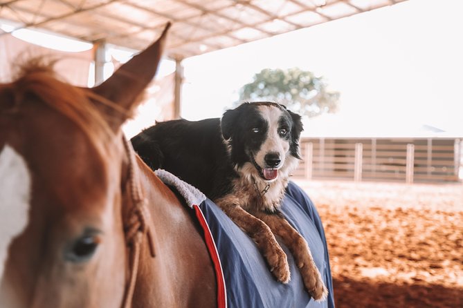 Katherine Outback Experience Show Ticket - Meeting Point Information