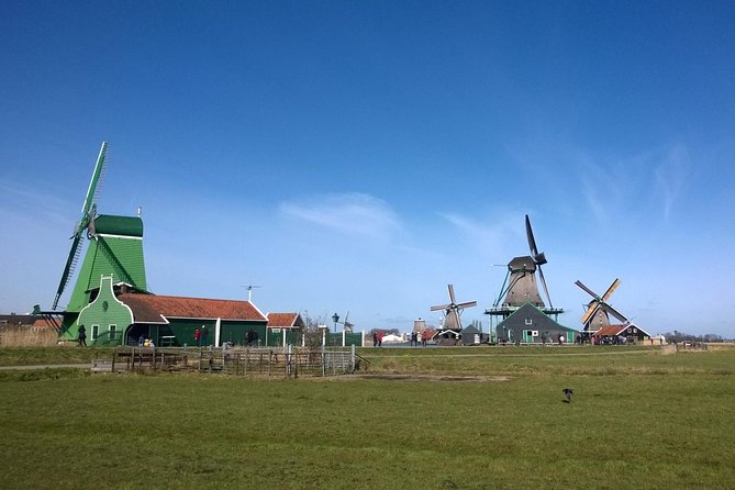 Keukenhof Tulips and Zaanse Schans Windmills Private Day Tour - Accessibility Features