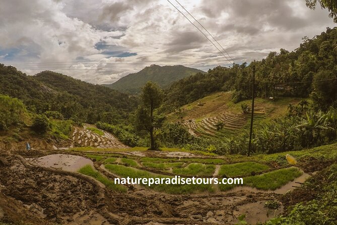 Knuckles Spice Trail Trek From Kandy - Trekking Experience Highlights