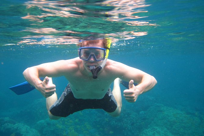 Konas Deluxe Snorkel - Beat the Crowds to Captain Cook and Place of Refuge - Snorkeling Highlights