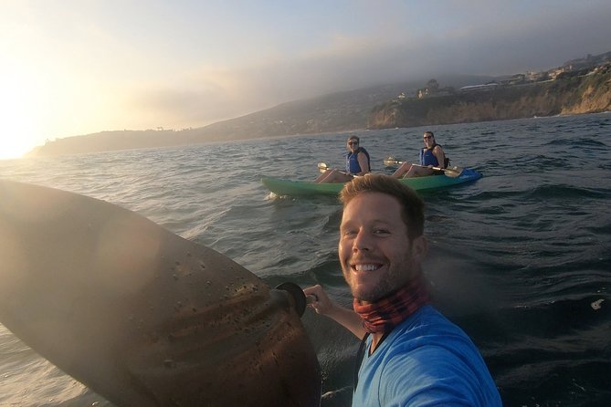 Laguna Beach Open Ocean Kayaking Tour With Sea Lion Sightings - Tour Details