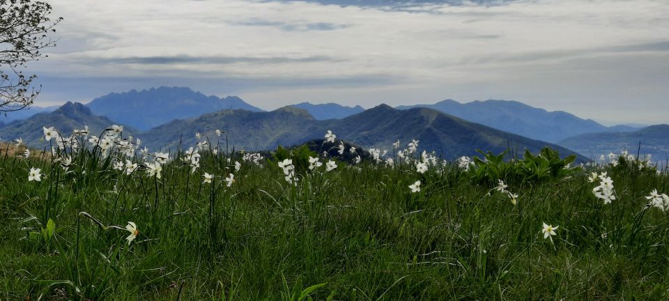 Lake Como: Brunate and Monte Boletto - Itinerary Details