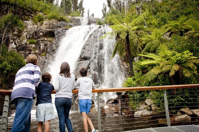 Lake Mountain Snow Trip Including Yarra Valley Chocolaterie From Melbourne - What to Expect