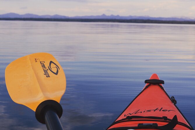 Lake Yellowstone Half Day Kayak Tours Past Geothermal Features - Guided Tour Experience