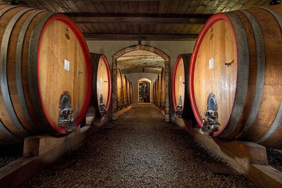 Langhe: Winery Tour and Wine Tasting - Wine Selection and Tasting