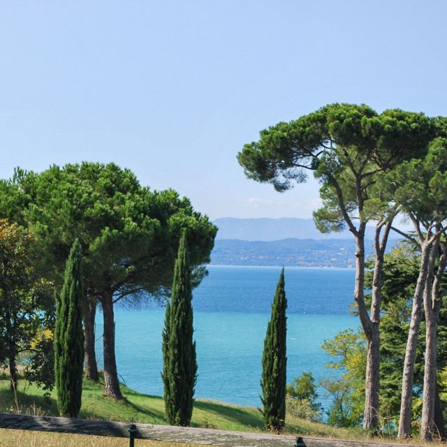 Lazise: Guided Wine Tour With Lake Views at a Historic Villa - Activity Highlights